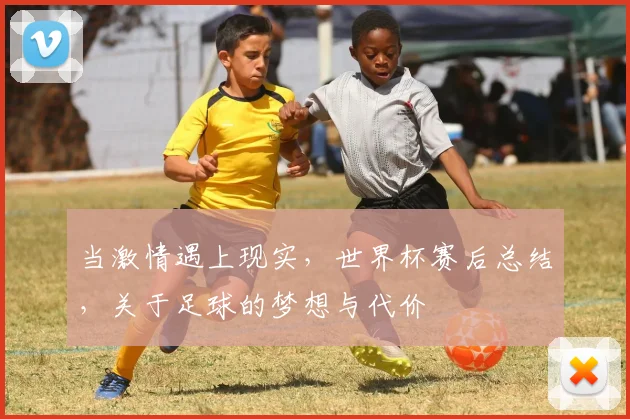当激情遇上现实,世界杯赛后总结,关于足球的梦想与代价