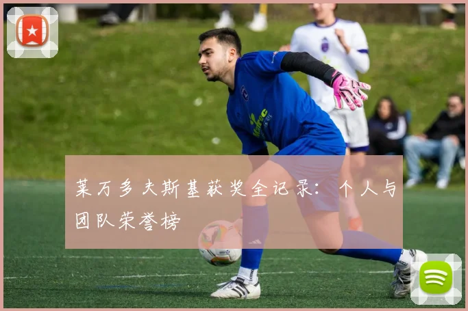 莱万多夫斯基获奖全记录:个人与团队荣誉榜