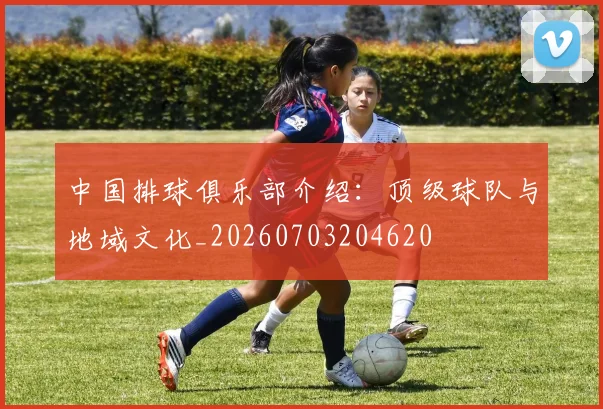 中国排球俱乐部介绍:顶级球队与地域文化_20260703204620
